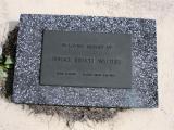 image of grave number 838032